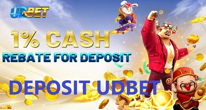 Why Did UDBET Deposit Fail?
